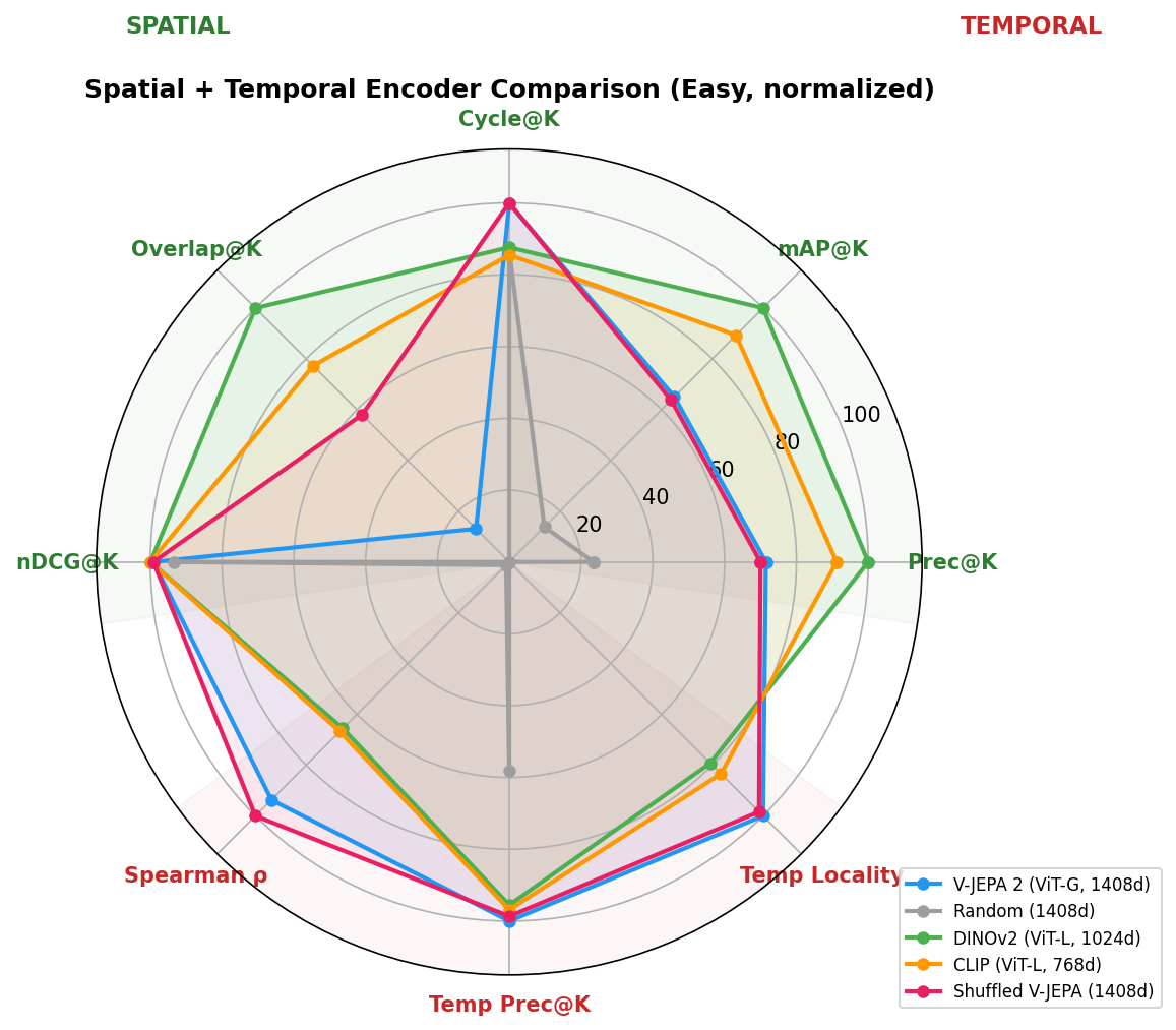 Combined radar: 5 spatial axes (green, left) + 3 temporal axes (red, right). V-JEPA bulges toward temporal, DINOv2 toward spatial.